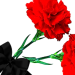 Əkbər Abbasova ağır itki üz verib